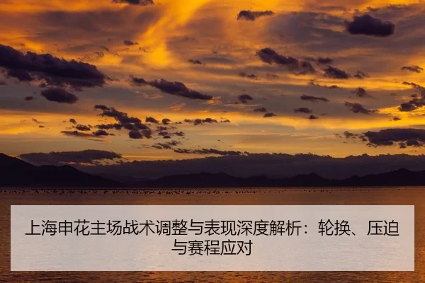 shang-hai-shen-hua-zhu-chang-zhan-shu-tiao-zheng-yu-biao-xian-shen-du-jie-xi-lun-huan-ya-po-yu-sai-cheng-ying-dui-2-794.jpg