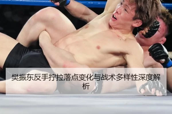 fan-zhen-dong-fan-shou-ning-la-luo-dian-bian-hua-yu-zhan-shu-duo-yang-xing-shen-du-jie-xi-2-907.jpg